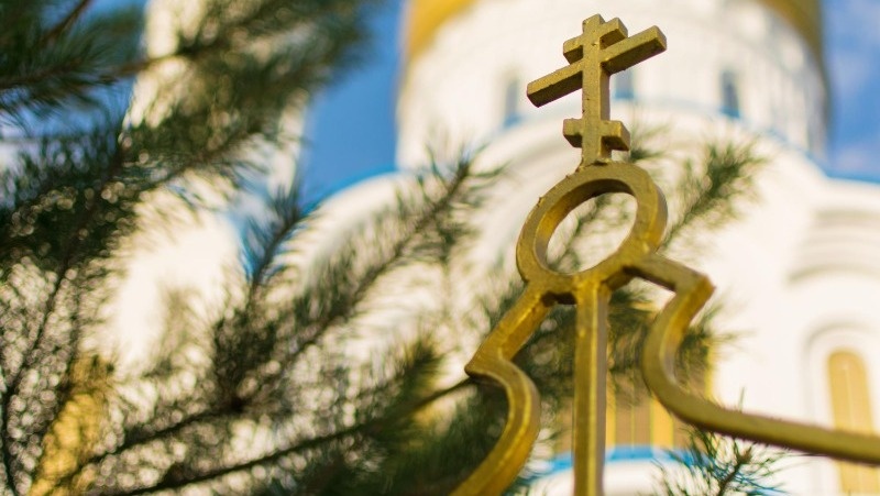      Фото: @user20119892 / freepik.com