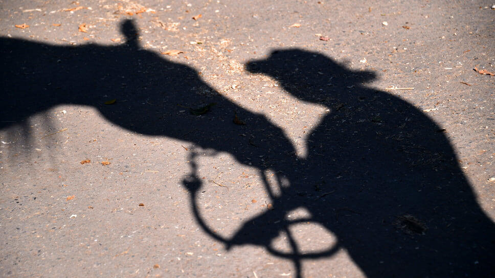 Фото: Эмин Джафаров / Коммерсантъ