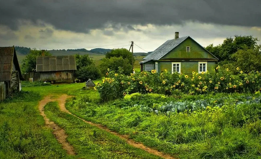 Яндекс картинки
