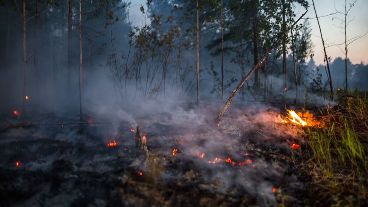    Югорчанам грозит крупный штраф за самовольный пал травы