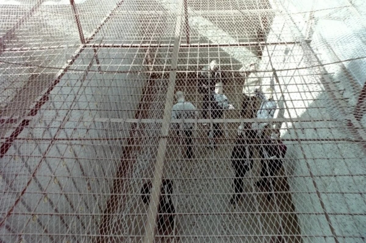    Омича, который открыто оправдывал терроризм, отправили в тюрьму