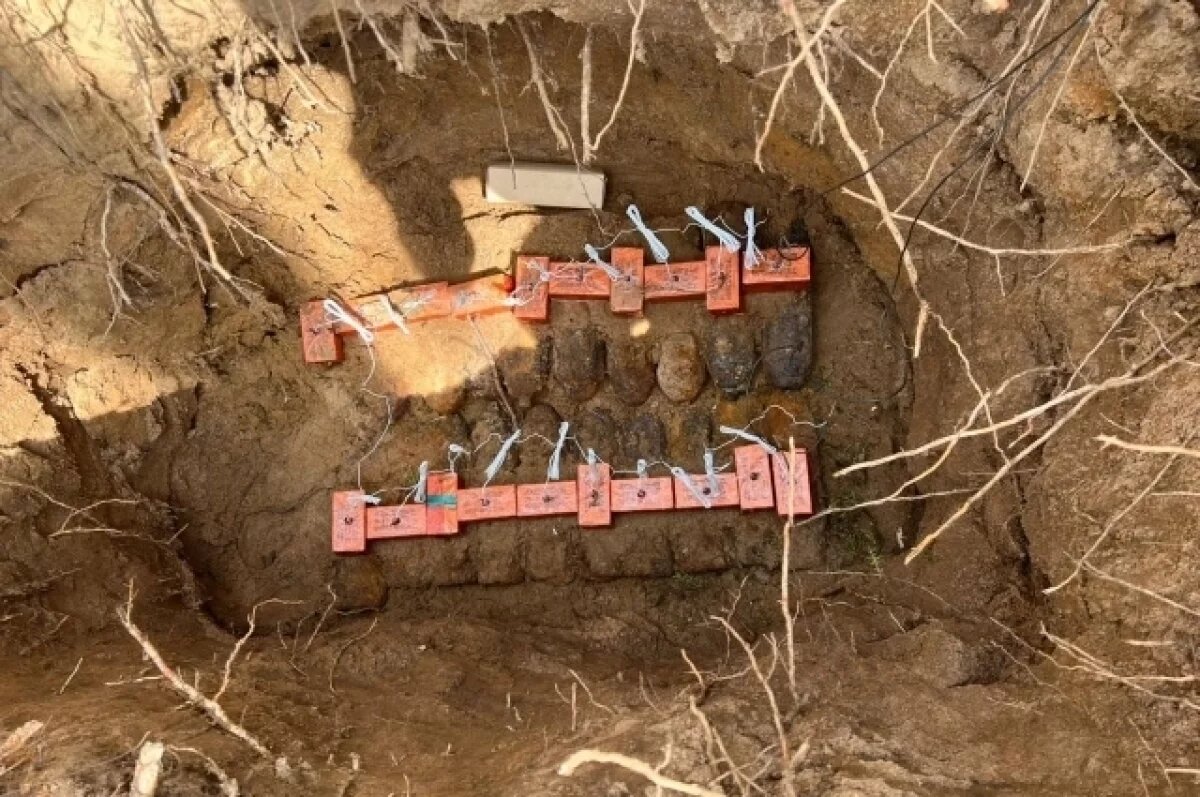    Схрон со снарядами уничтожили в Псковской области