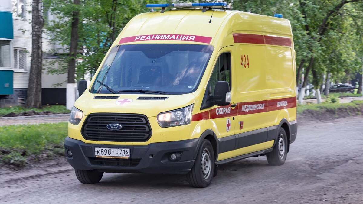    Фото: Oleg Spiridonov/Business Online/globallookpress.com