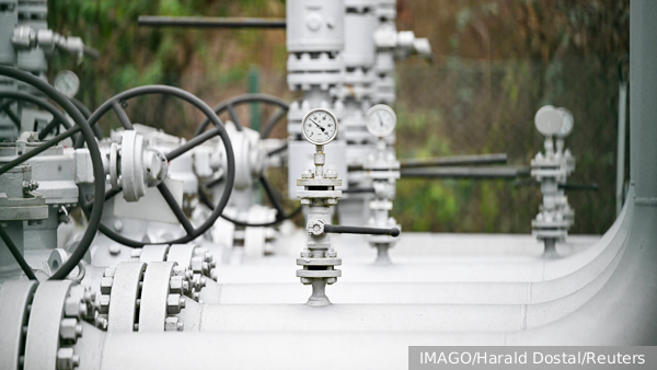     Фото: IMAGO/Harald Dostal/Reuters   
 Текст: Ольга Самофалова