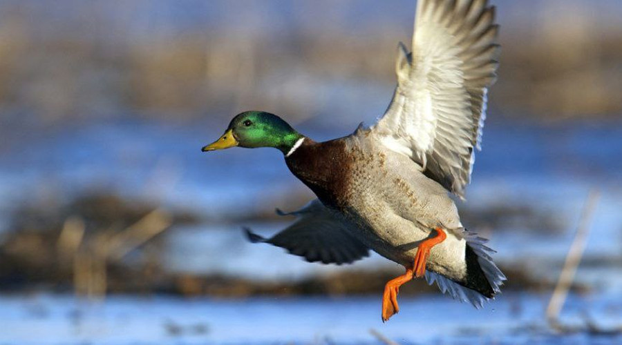    Фото: Администрация БМР