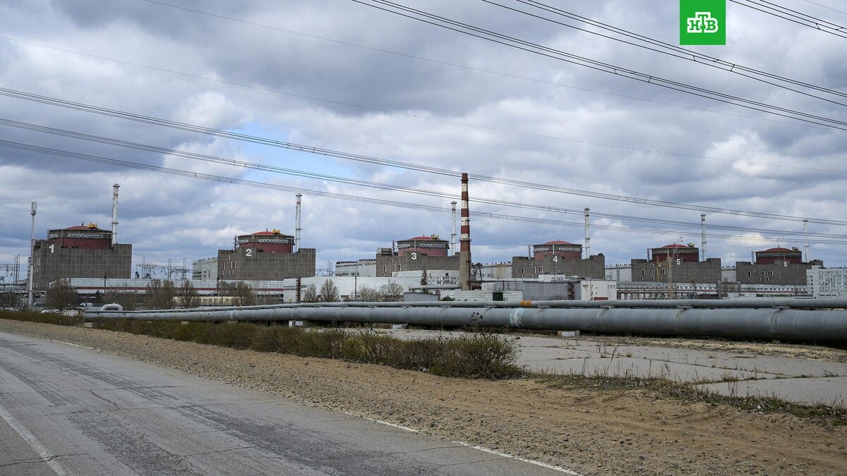    Фото: РИА Новости © 2025, Константин Михальчевский