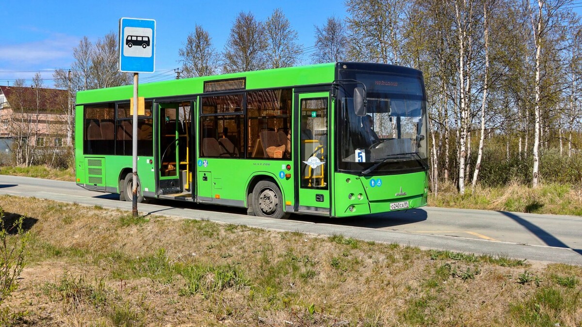    Фото: Василий Петров / «Ямал-Медиа»