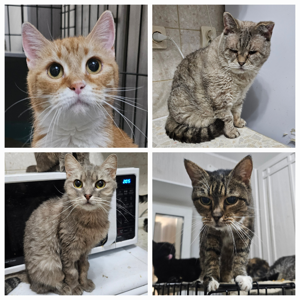 Фото автора. Наши ребята заболевшие фипом.