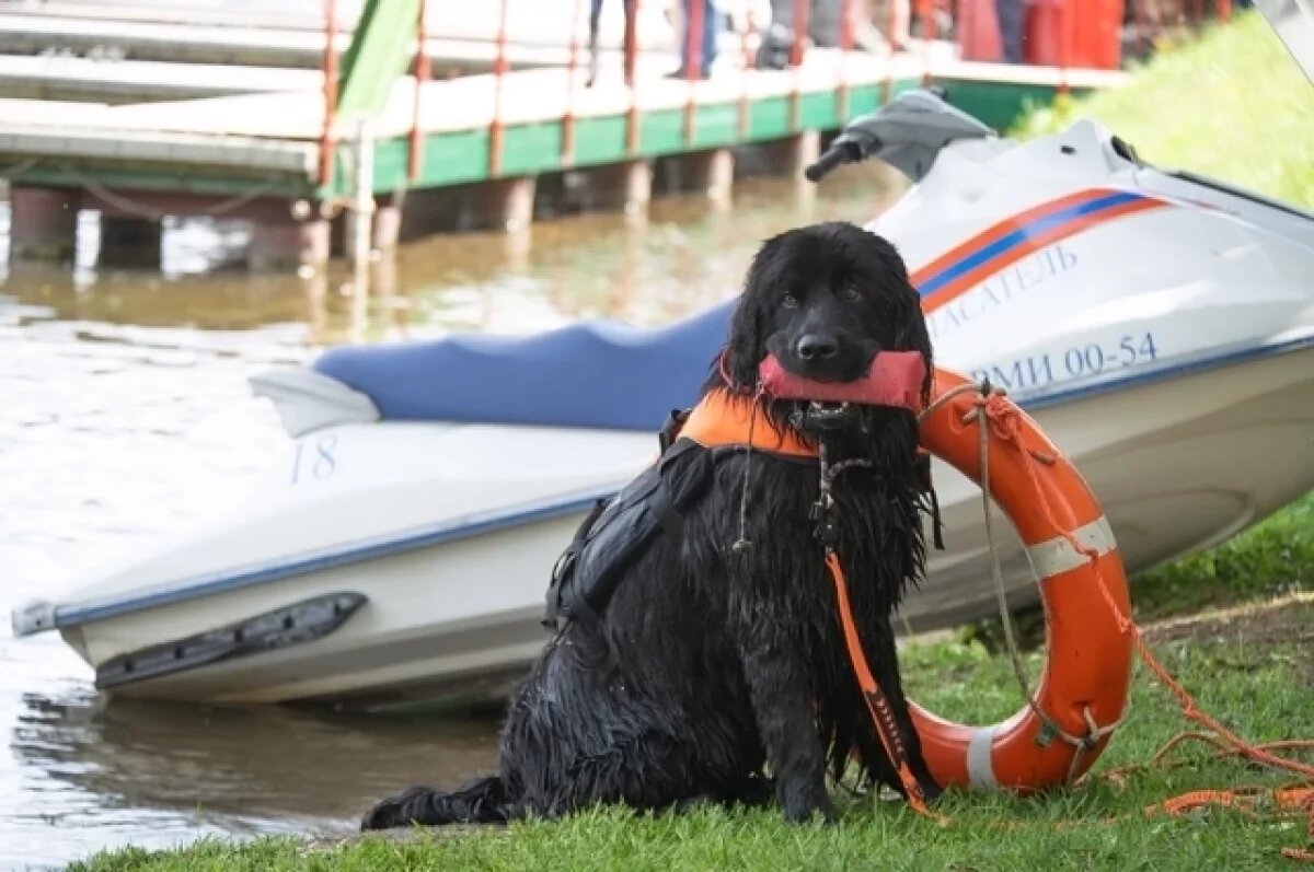    Паводковая ситуация в Тарко-Сале стабилизируется