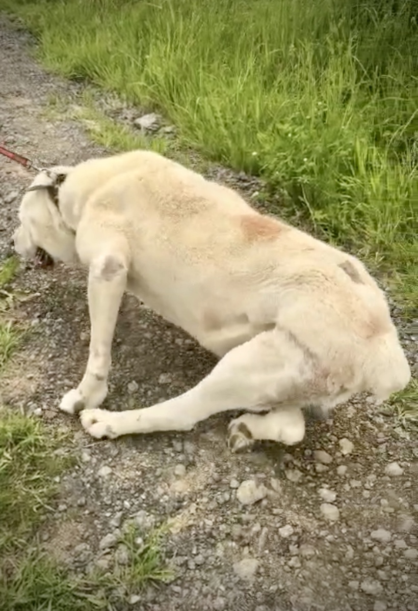 Скриншот из видео