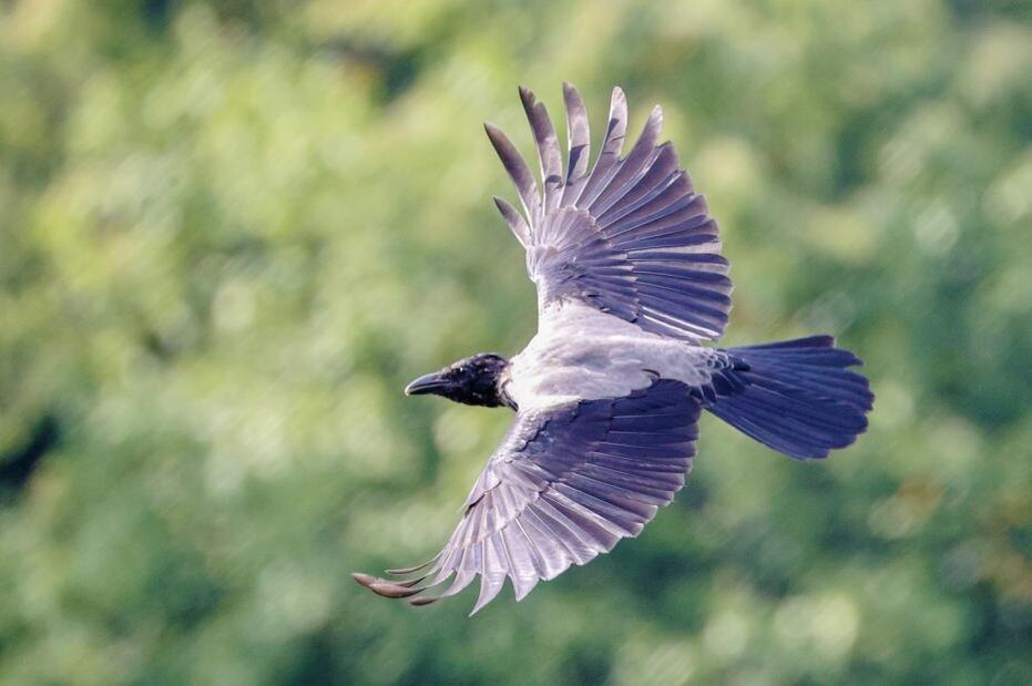    Сергей Булкин/NEWS.ru