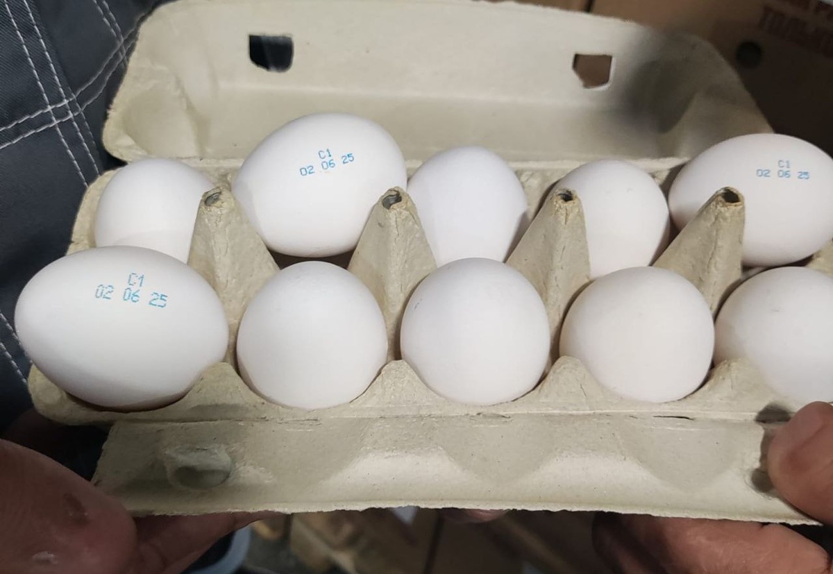 Фото: пресс-служба Управления Россельхознадзора по Челябинской области