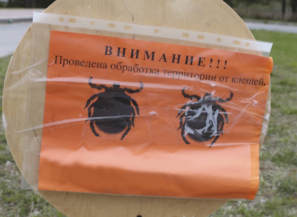    В Югре зарегистрировали более 1,5 тысяч укусов клещей