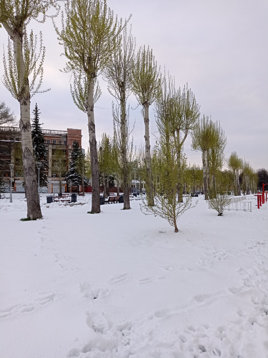 МАЙ В ЕКАТЕРИНБУРГЕ В 2024 ГОДУ.