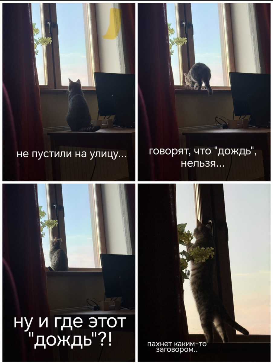 Творчество моих подписчиков!