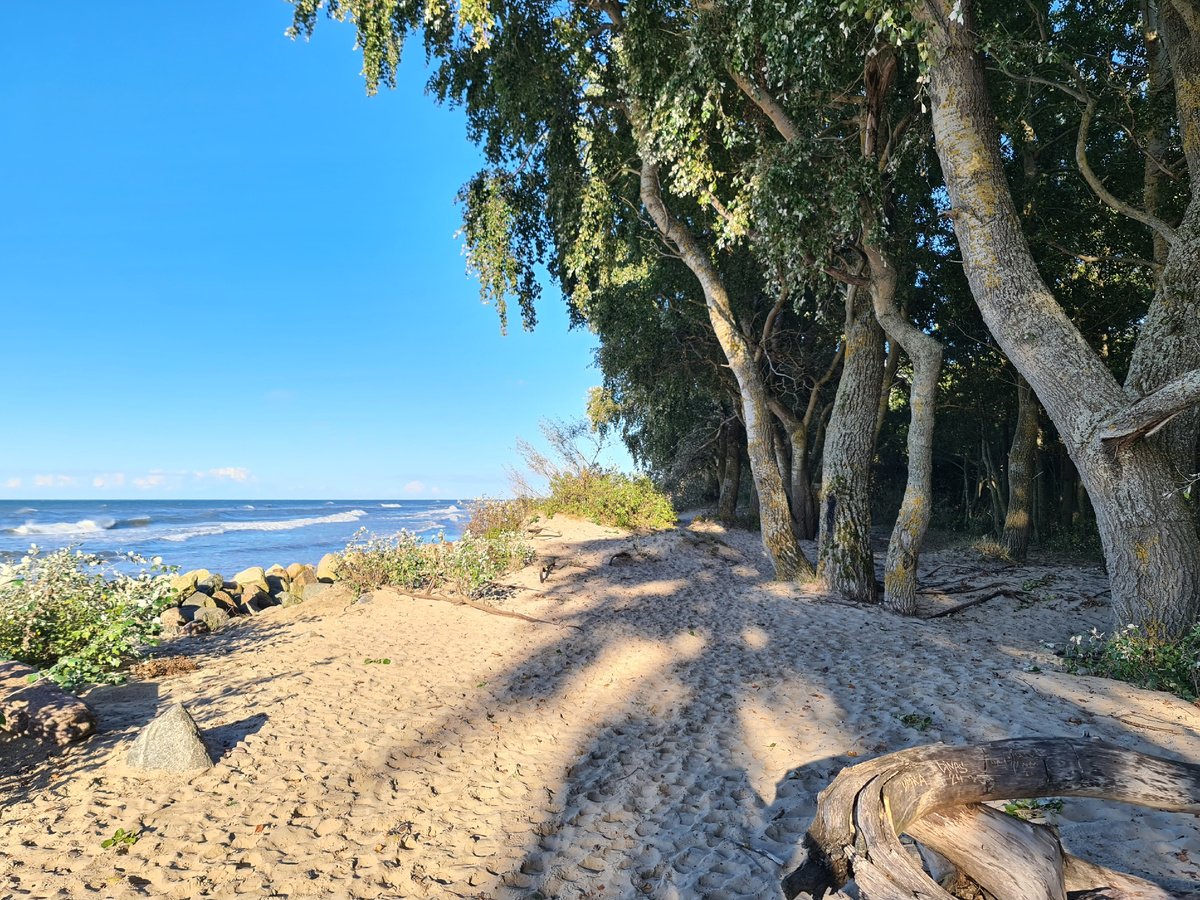 Куршская коса, фото автора