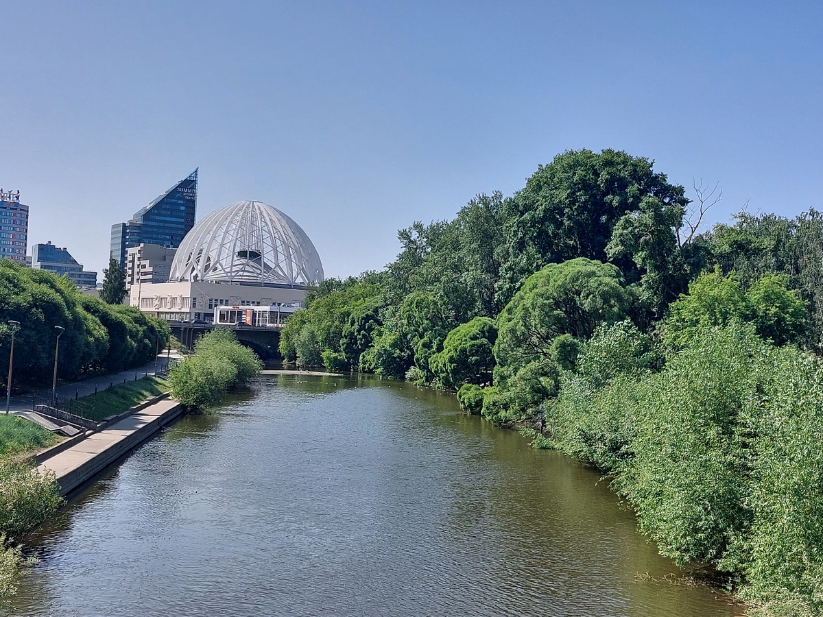 Вид на цирк