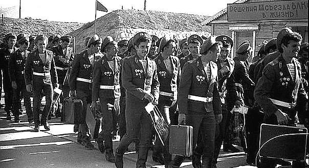 Улетают в родные края... Фото Яндекс.Картинки. 