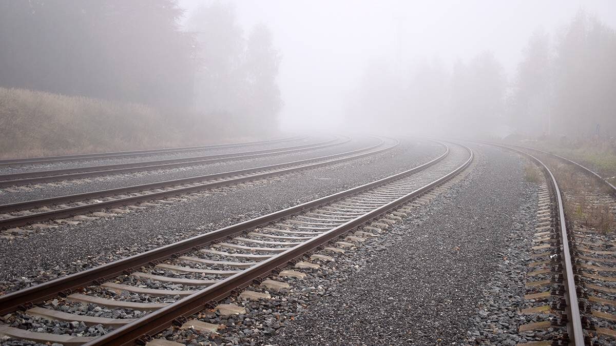    Фото: Shutterstock