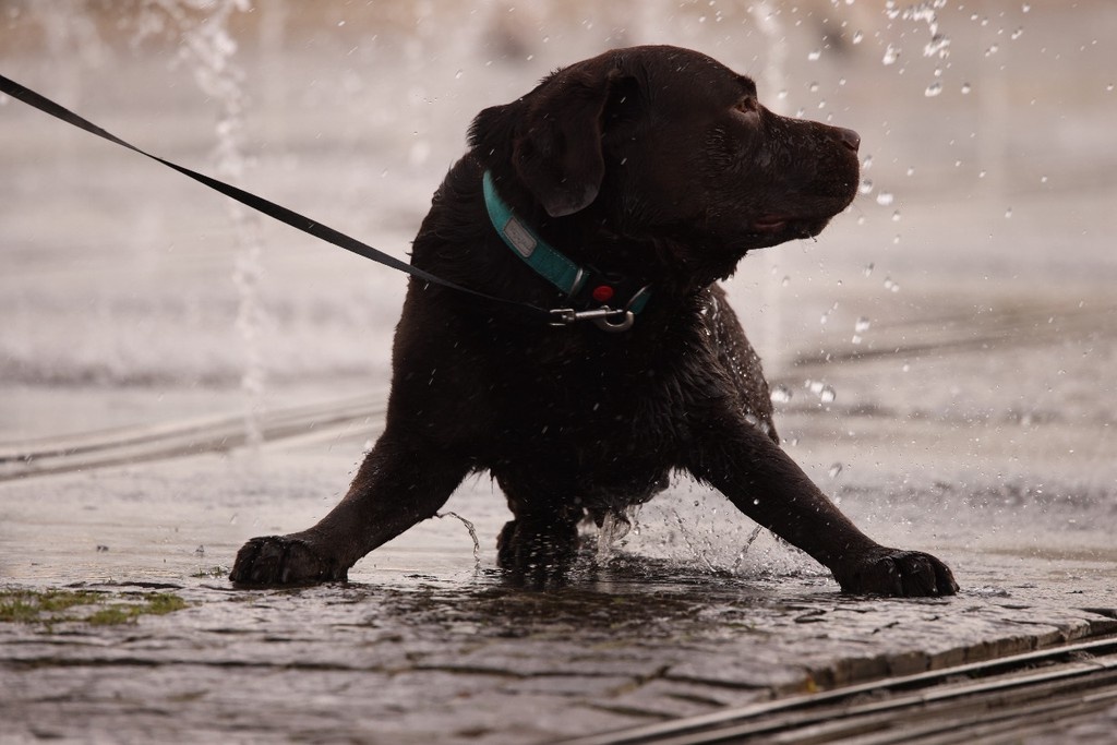    Фото © Анастасия Романова / Абзац