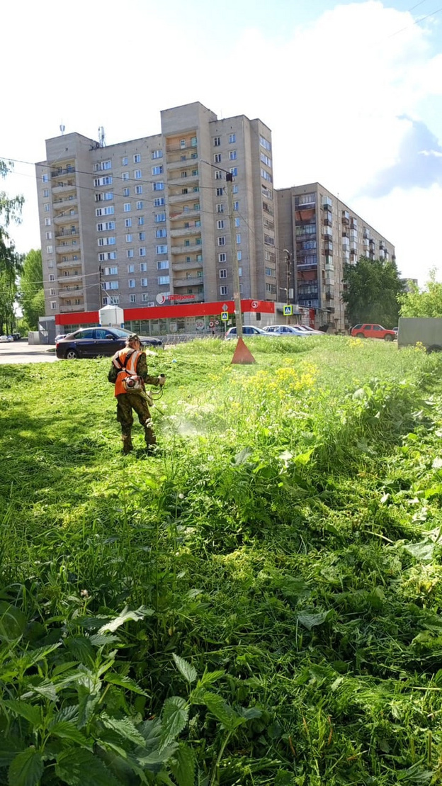    Вячеслав Симаков выявил ряд недостатков