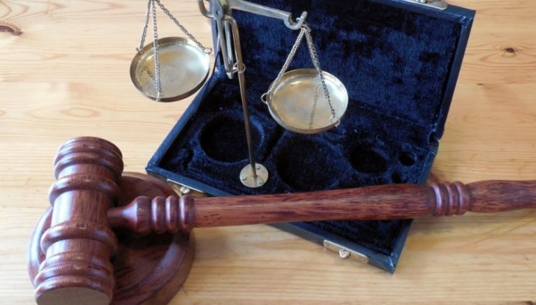    Фото: pxhere.com Александра Горохова