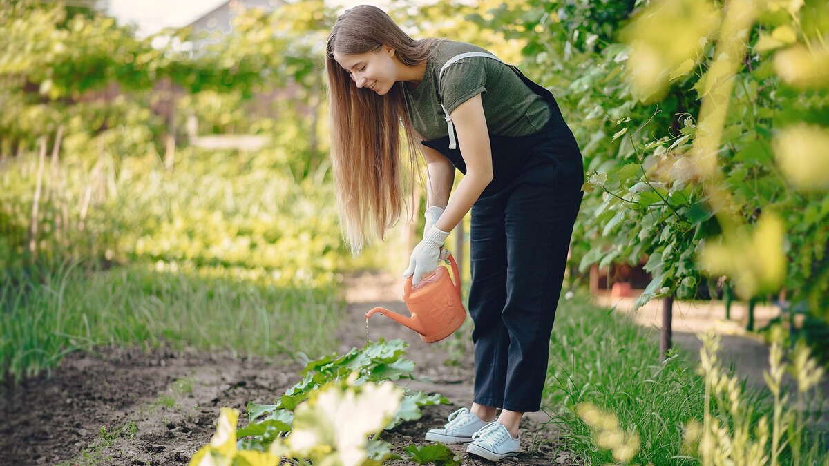 Фото: freepik.com/prostooleh