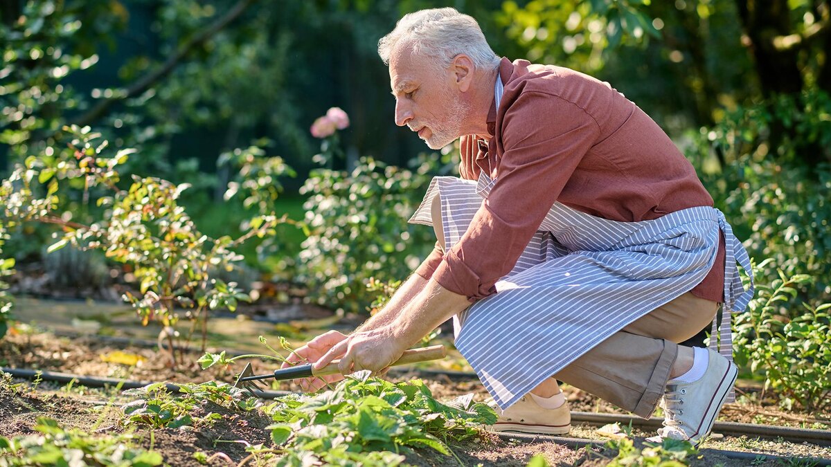 Фото: freepik.com