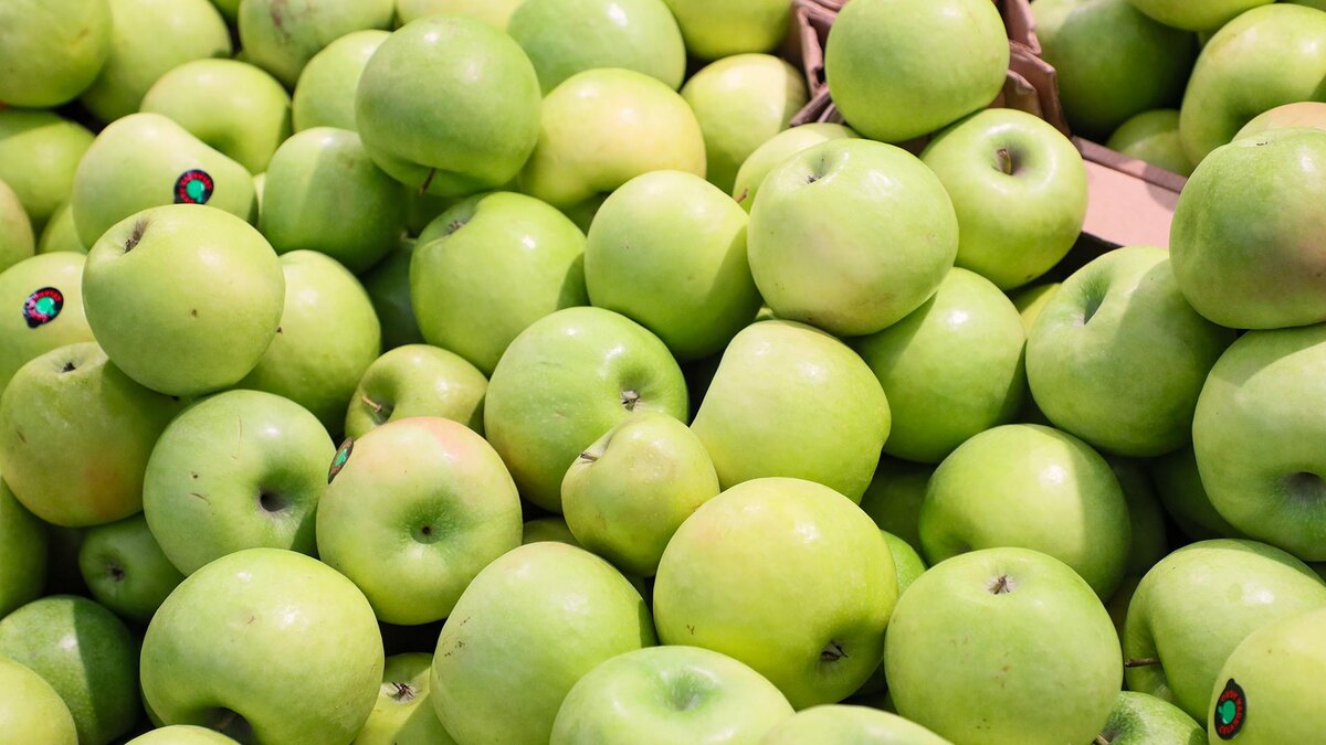    Фото: Petrov Sergey/globallookpress.com