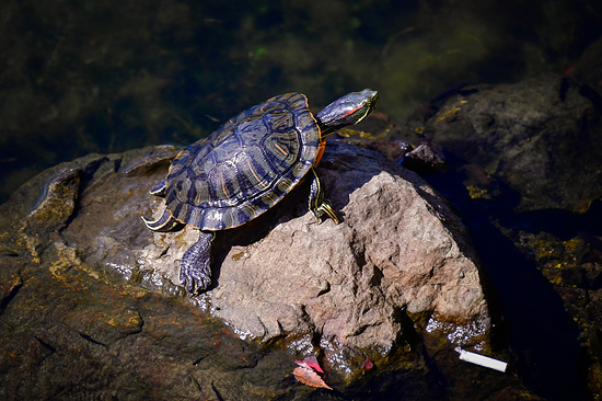 Фото: Юрий Смитюк/ТАСС