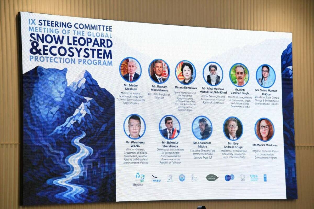 Фото: пресс-служба Раиса РТ