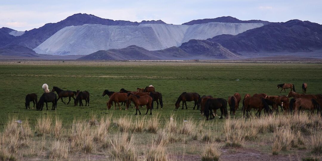 Тувинские лошади