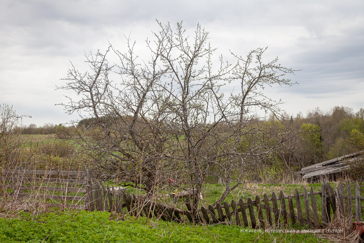 Исчезающие деревни Вепсского леса