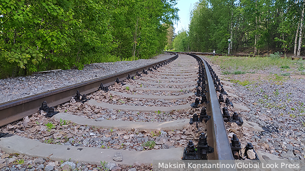     Фото: Maksim Konstantinov/Global Look Press   
 Текст: Вера Басилая