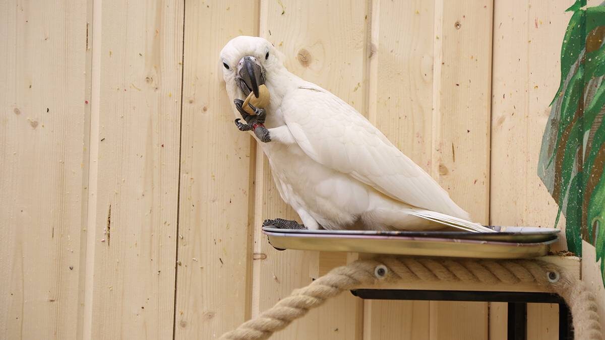    Фото: Наталья Шатохина / Вечерняя Москва