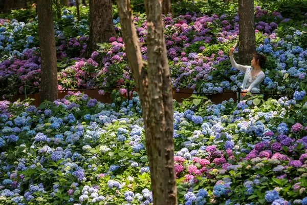 © Getty Images / Yang Bo/China News Service/VCG