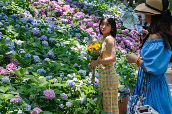 © Getty Images / Yang Bo/China News Service/VCG
