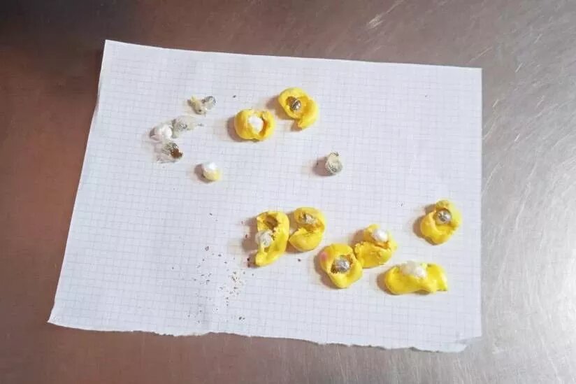 Фото: ГУФСИН России по Челябинской области