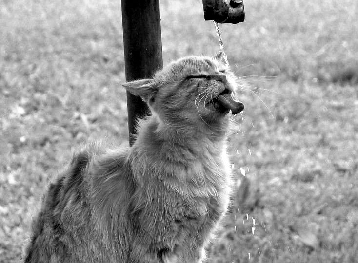 Старые фотографии, которые разбудят самые сокравенные воспоминания и заставят улыбнуться!