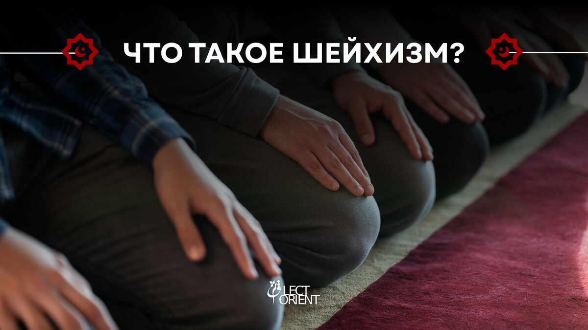 Фото взято в фотостоке Canva