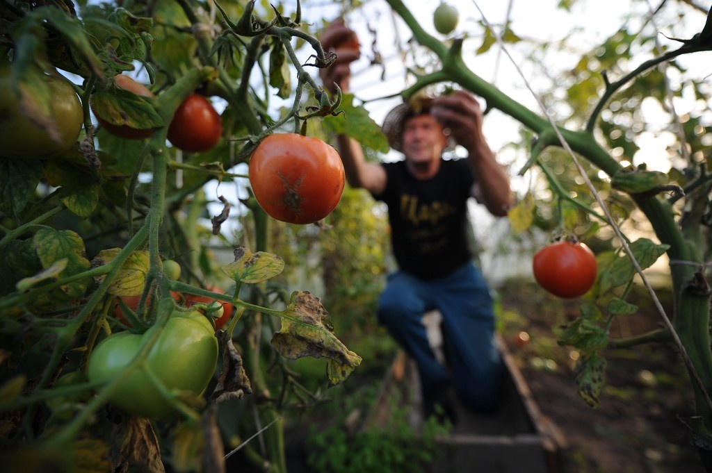    Фото © Владимир Смирнов / ТАСС