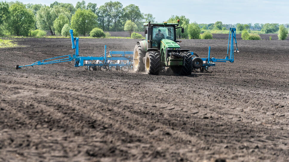Фото: Олег Харсеев / Коммерсантъ
