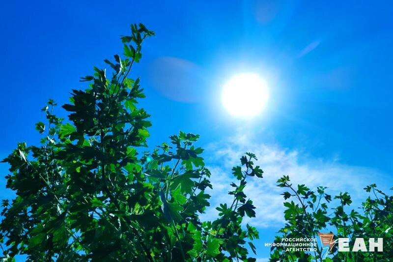    ЕАН. Архивное фото