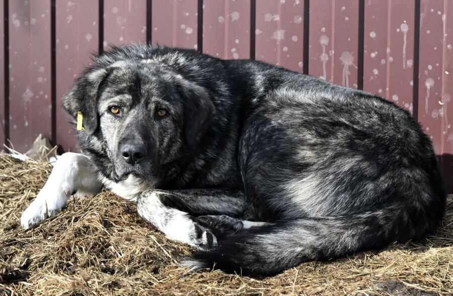     / Источник: © Илья Наймушин/РИА Новости