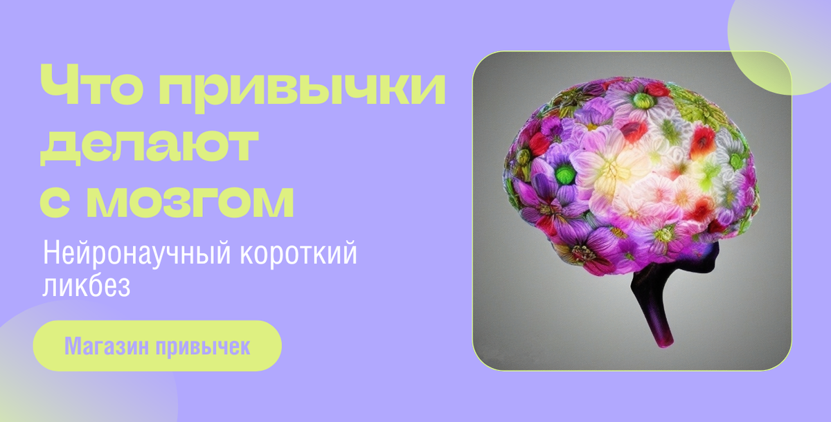 Что привычки делают с мозгом