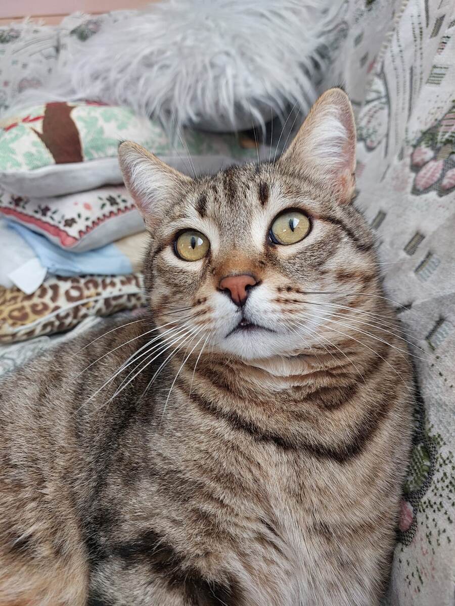 Фото из личного архива.