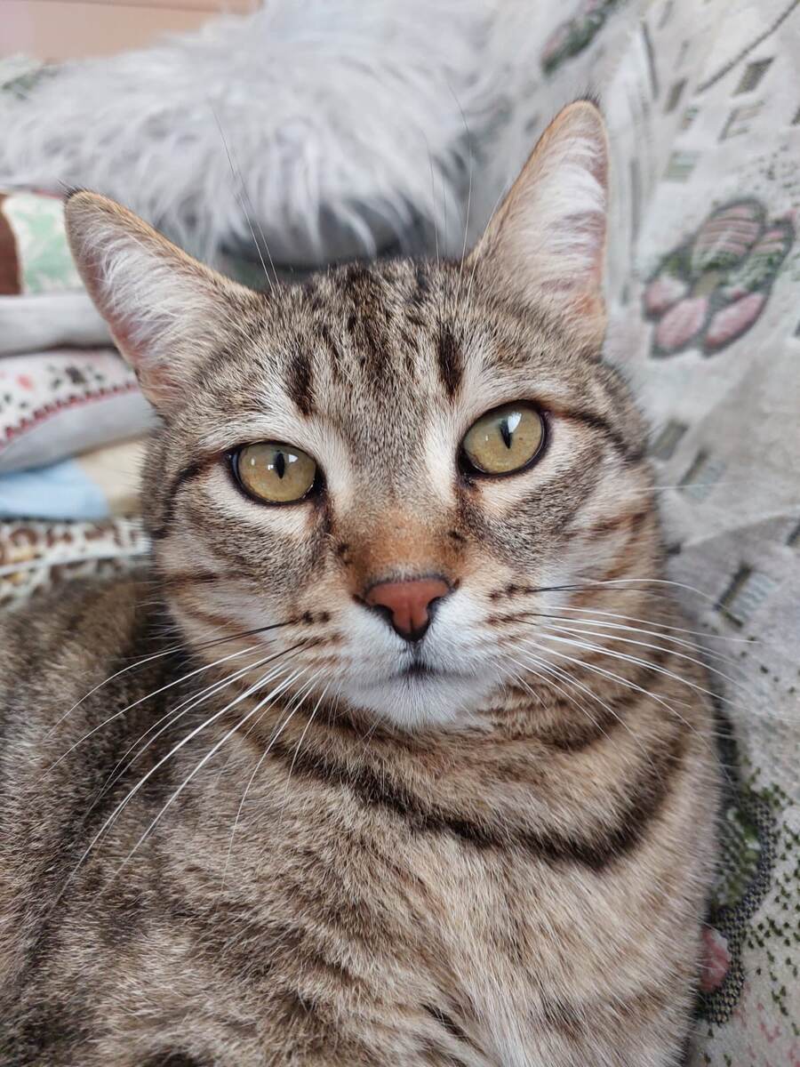 Фото из личного архива