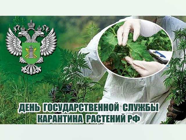 Карантин – это хорошо. Кто защищает растения России и Тверской области