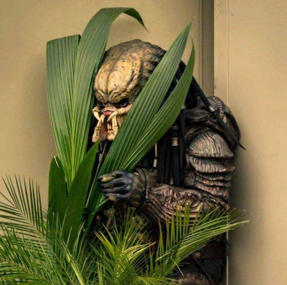 Хищник затаился