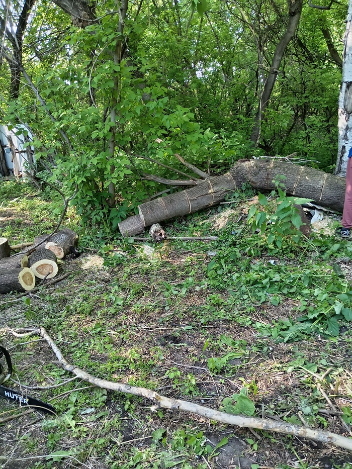 Хлебом не корми - дай попилить!